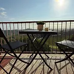 Barbera * Castel Rocchero