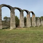 Barbera *