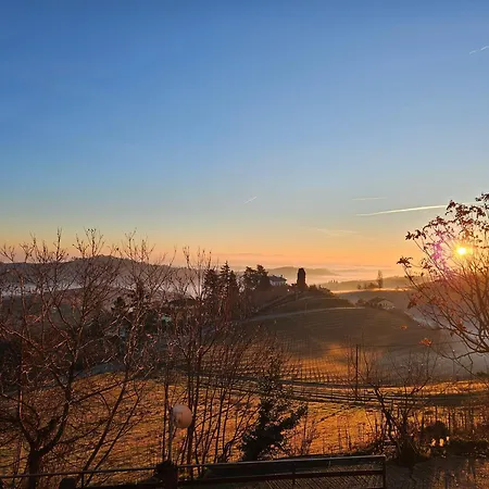 Barbera Castel Rocchero