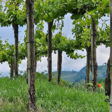 アパート Barbera Castel Rocchero