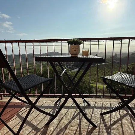 Barbera * Castel Rocchero