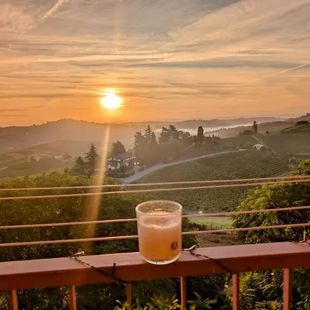 Barbera Castel Rocchero