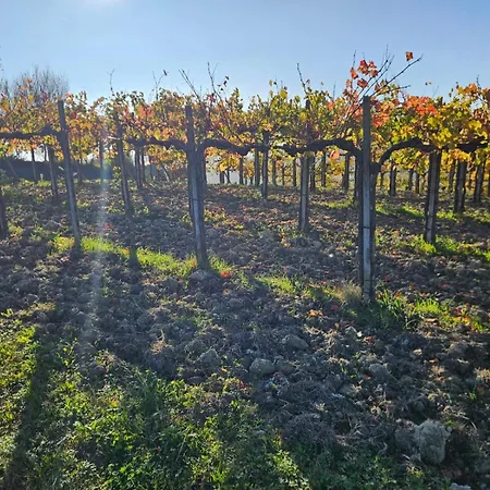Lejlighed Barbera