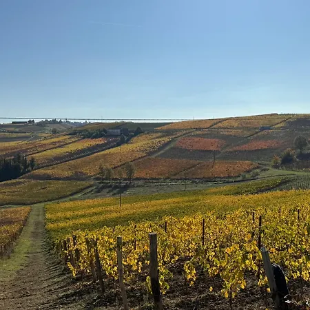 Barbera