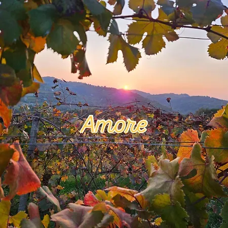 Barbera アパート Castel Rocchero