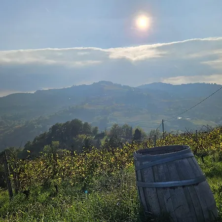 Апартаменты Barbera Castel Rocchero