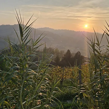 Barbera Castel Rocchero