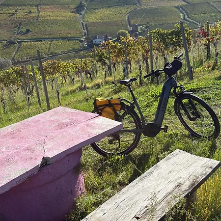 アパート Barbera