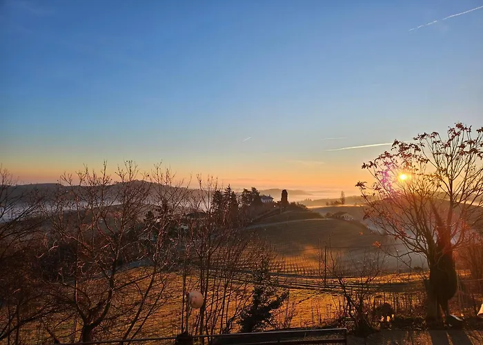 Barbera Castel Rocchero