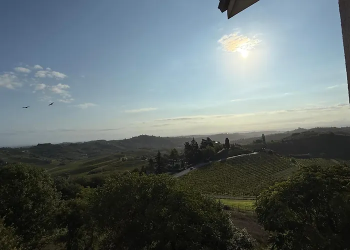 Barbera Castel Rocchero