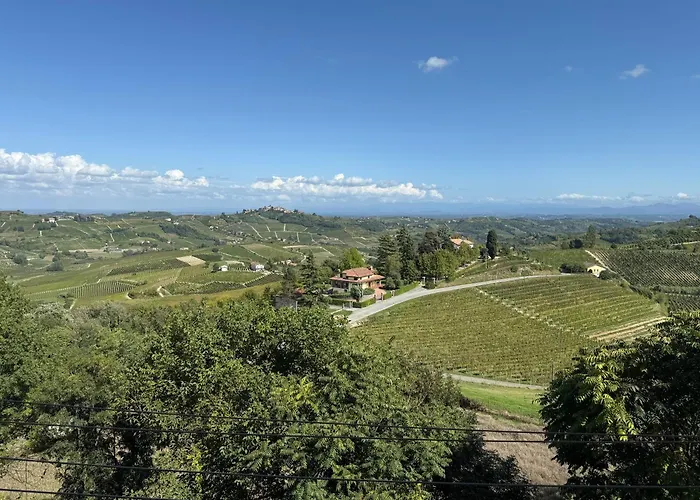 Barbera Castel Rocchero