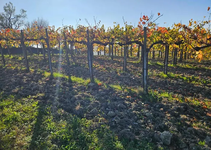 Апартаменты Barbera