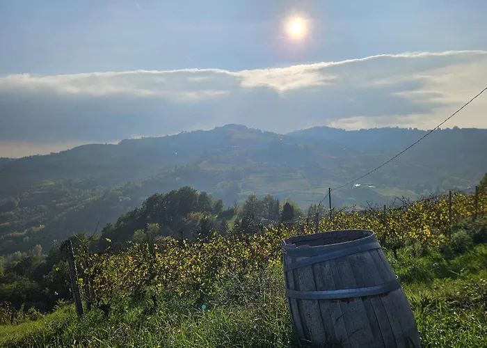 Апартаменты Barbera Castel Rocchero